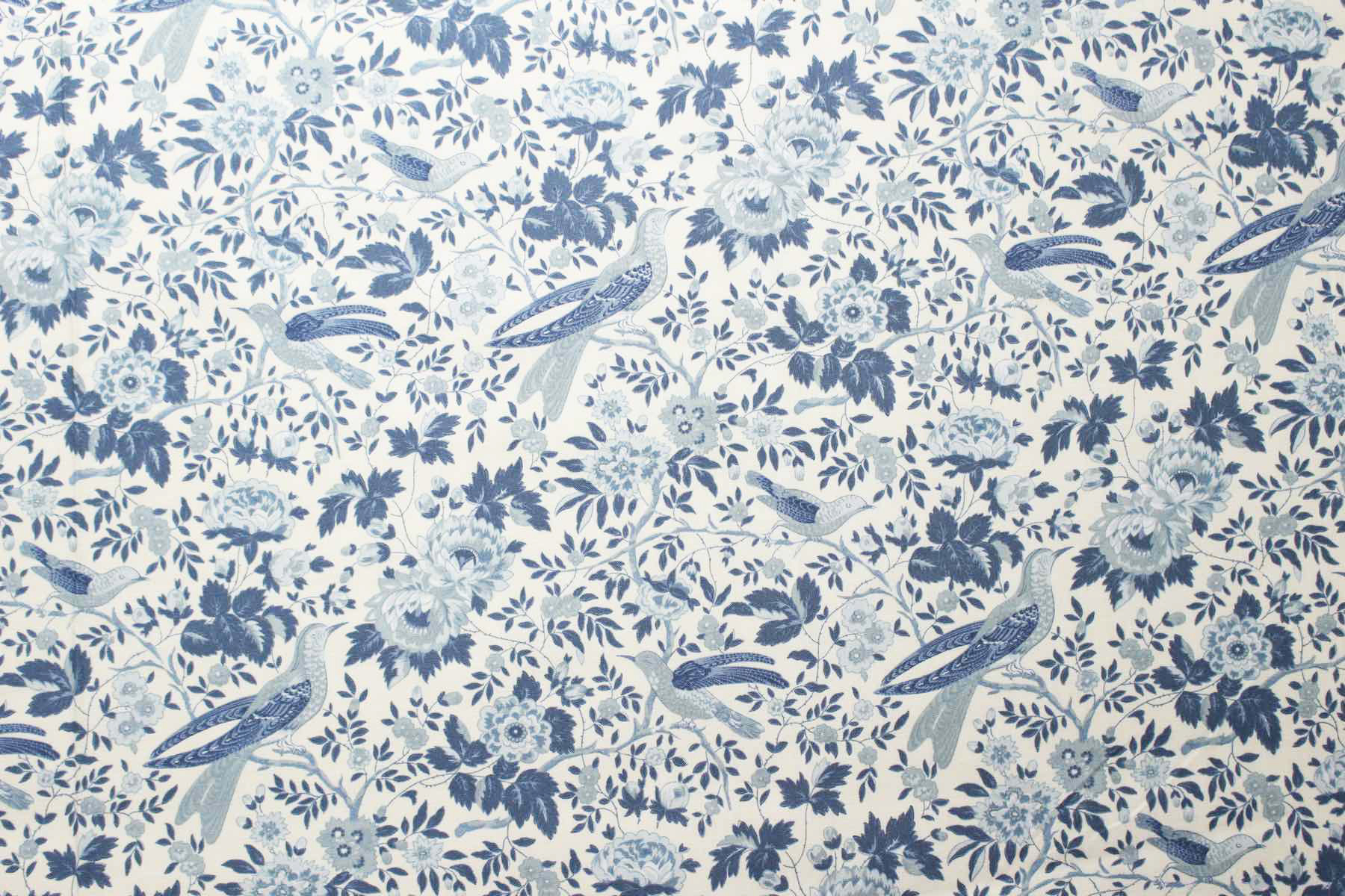 Jpi　Bleu De France　Valliere<br />パ-ル